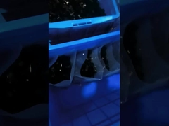 1000Pcs PE 케이블 묶음 부속물 1/2 인치 플라스틱 Ｒ 유형 클립 클램프